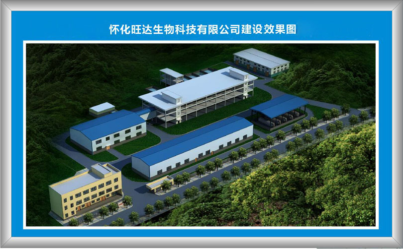 Ledong官方网站